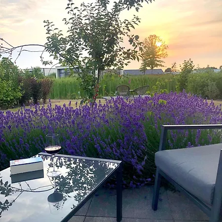 Marina Strandbad Inseltraum Mit Zaun Haus Nr 83 Olburgen