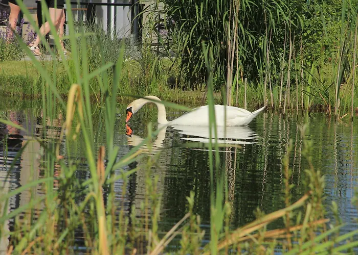 Semesterbostad Marina Strandbad Inseltraum Mit Zaun Haus Nr 83
