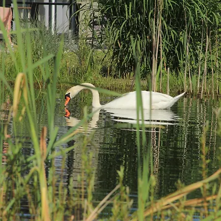 Semesterbostad Marina Strandbad Inseltraum Mit Zaun Haus Nr 83